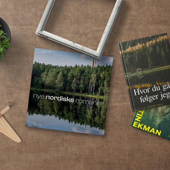Nye nordiske romaner
