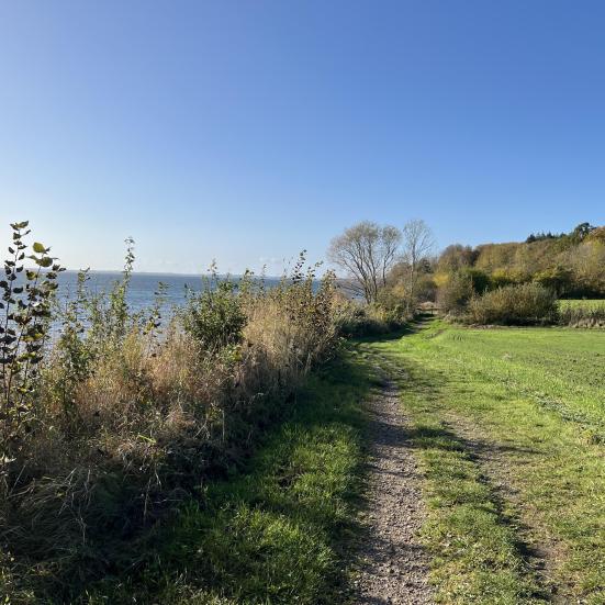 Langs klinten