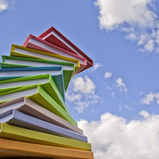 Bogsalg 28.6. - 30.8.2025