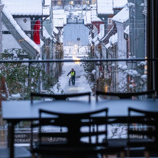 Vinter i Flensborg
