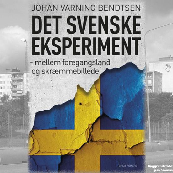 Det svenske eksperiment  (bogforside)