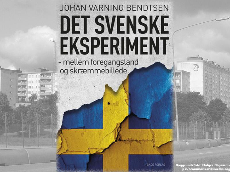 Det svenske eksperiment  (bogforside)