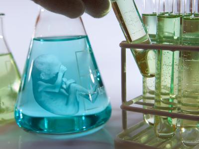 Forædlingen af mennesket – før og nu