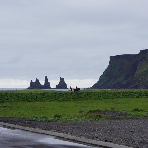 Islandheste