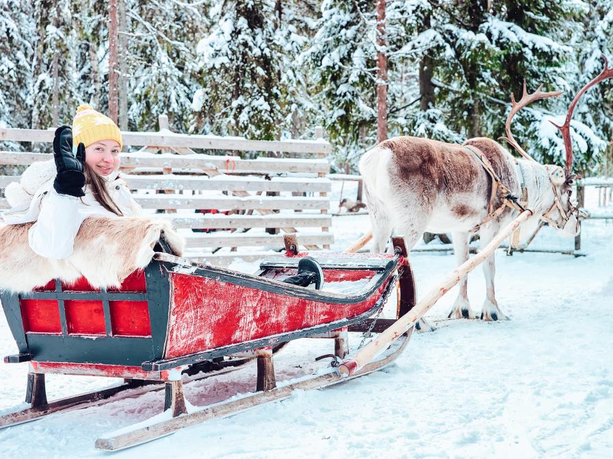 Samer med hundeslæde. Foto: Roman Babakin, Colourbox.dk