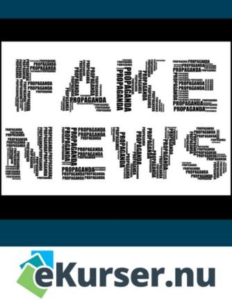 : Få fake news forklaret