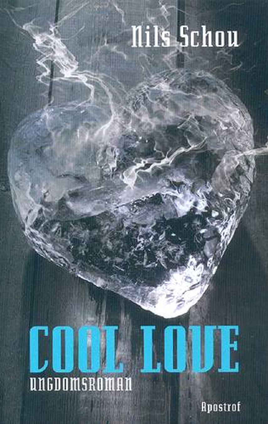 Nils J. A. Schou: Cool love : ungdomsroman