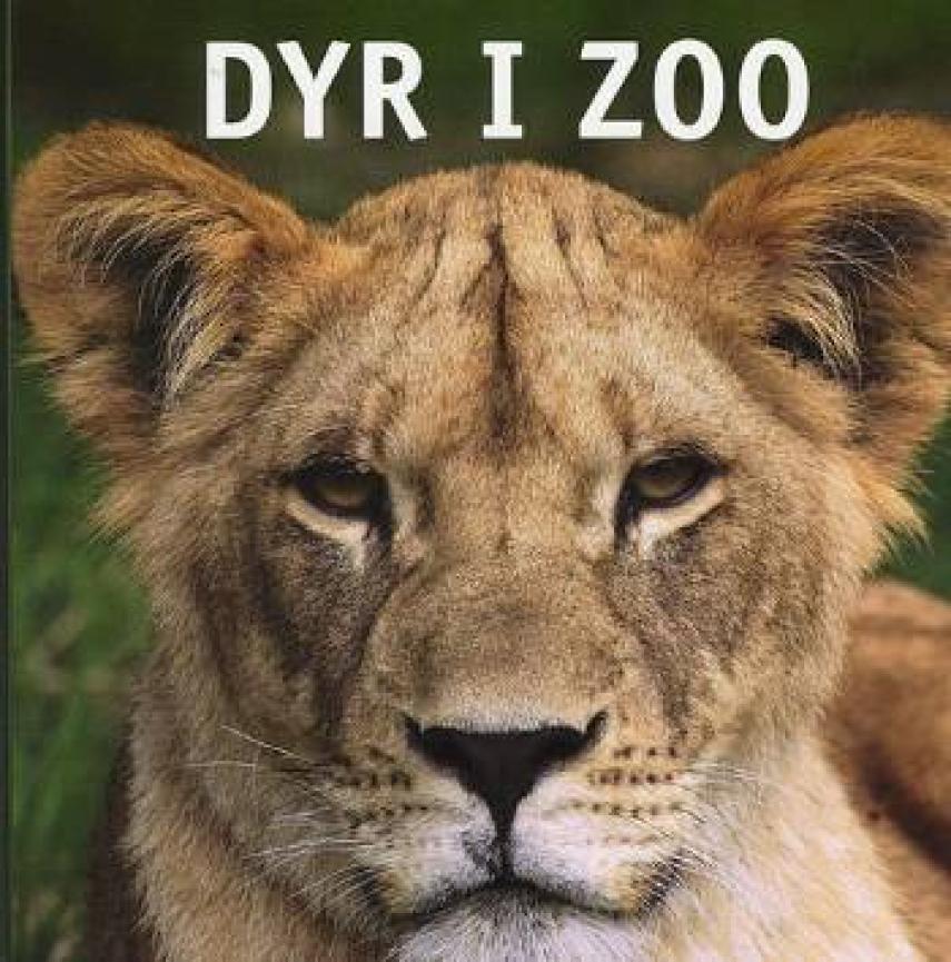 : Dyr i zoo