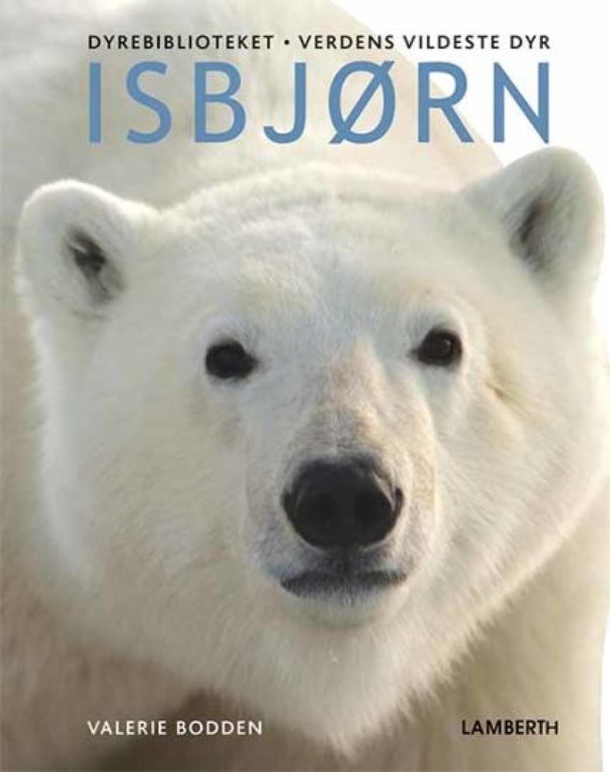 Valerie Bodden: Isbjørn