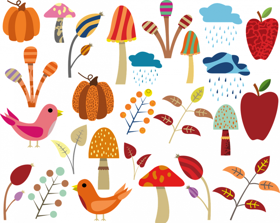 Kreatid efterår. Foto: Pixabay
